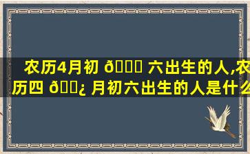 农历4月初 💐 六出生的人,农历四 🌿 月初六出生的人是什么性格命好吗